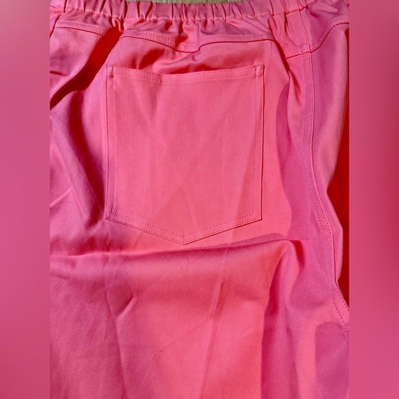 Isaac Mizrahi Live! 24/7 Stretch Ankle Pants with Pintuck Coral Curvy Sz 26 - Picture 5 of 10